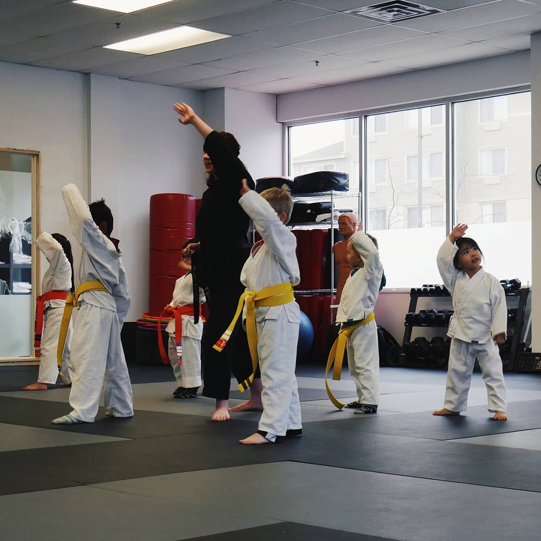 Metro Karate & Jiu Jitsu Programs