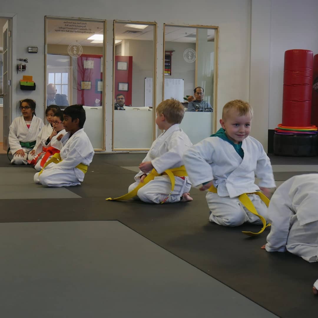 Metro Karate & Jiu Jitsu Kids Karate: Little Dragons